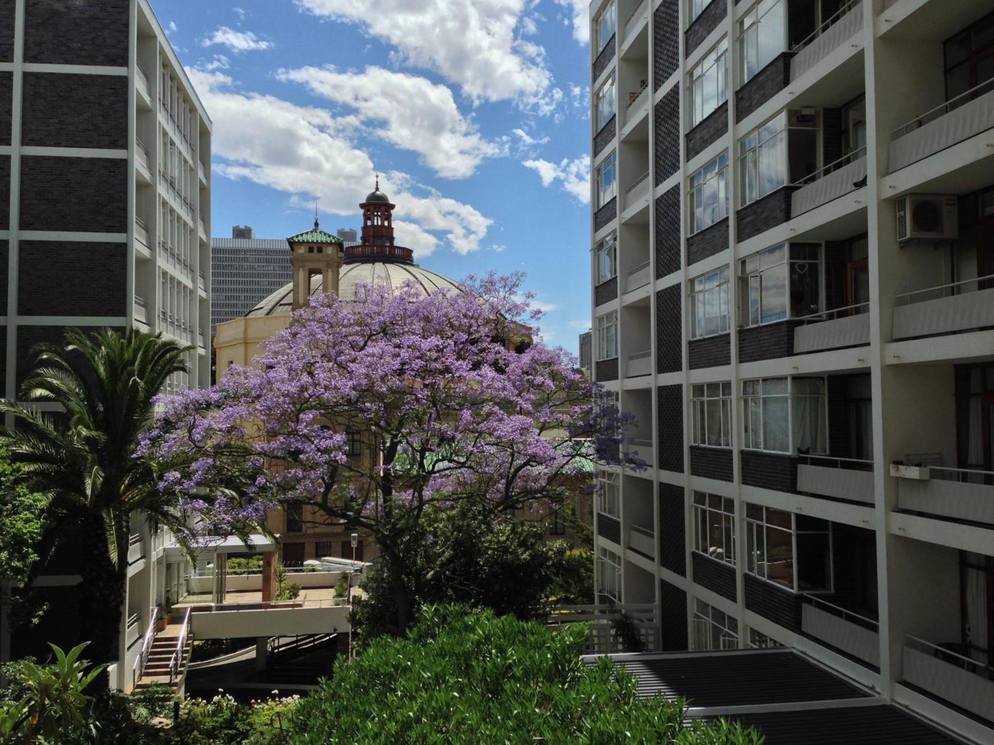 Cape Breaks Apartment Cape Town Bagian luar foto